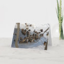 Suche nach stockenten karten Weihnachten