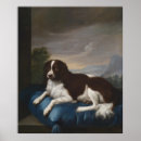 Suche nach sprungbrett poster Spaniel