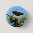 Suche nach falke buttons Wild lebende tiere