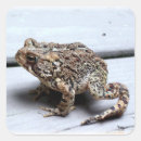 Suche nach toad aufkleber Amphibien