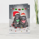 Suche nach neufundlaender karten Newfie