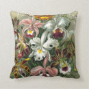Suche nach orchideen kissen Blume