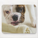 Suche nach vorderansicht mousepads Angriff