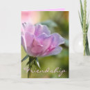 Suche nach freundschafts karten Rose