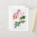 Suche nach rosenbusch postkarten Blume