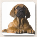 Suche nach babytier untersetzer Babys
