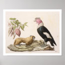 Suche nach alexander von humboldt poster After