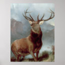 Suche nach stag poster Antlers
