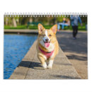 Suche nach hunde kalender Tierkalender