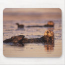 Suche nach seeotter mousepads Säugetier