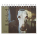 Suche nach whippet kalender Sighthound