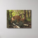 Suche nach mutter und kind leinwandbilder Tierwelt