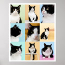 Suche nach hundeporträt poster Katzenporträt