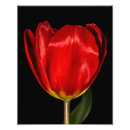 Suche nach makro poster Schön