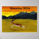 Suche nach gazelle poster Wüste