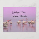 Suche nach tampa postkarten Florida