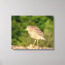 Suche nach kajak leinwandbilder Wasser