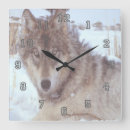 Suche nach grauer wolf wanduhren Natur