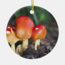 Suche nach pilz ornamente Farbenfroh