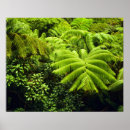Suche nach big island poster Grün