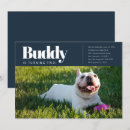 Suche nach moderne hunde einladungen Welpe