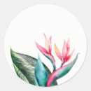 Suche nach paradiesvogel aufkleber Aquarell