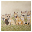 Suche nach jugendliche fliesen Fuchs