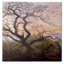 Suche nach krähen fliesen Vögel