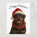 Suche nach rottweiler postkarten Rottie
