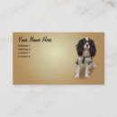 Suche nach könig visitenkarten Spaniel