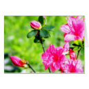 Suche nach azaleen Natur