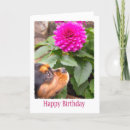 Suche nach kuckuck postkarten Niedlich