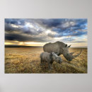 Suche nach nashorn poster Tier