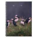 Suche nach puffin kleine notizbücher Atlantischer puffsack