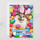 Suche nach lustiges ostern einladungen Ostereier