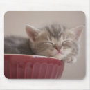 Suche nach müde mousepads Haustier