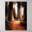 Suche nach riesiger baum poster Kalifornien