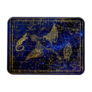 Suche nach eidechsen magnete Für alle