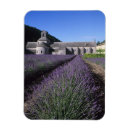 Suche nach abtei magnete Provence