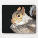 Suche nach nuss mousepads Tiere