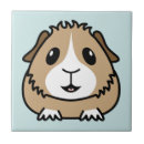Suche nach guinea fliesen Meerschweinchen