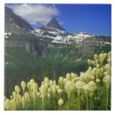 Suche nach nationalparks fliesen Usa