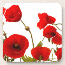 Suche nach weiße mohnblume Für sie/ihn