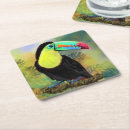 Suche nach toucans untersetzer Tropisch