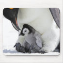 Suche nach baby pinguin mousepads Tier