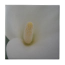 Suche nach kleine blumen fliesen Jede person