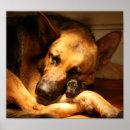 Suche nach gsd Deutsch