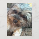 Suche nach hundefreund postkarten Freunde