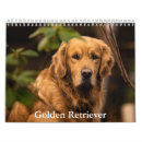 Suche nach golden retriever kalender Haustier