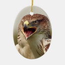 Suche nach falknerei ornamente Raubvogel